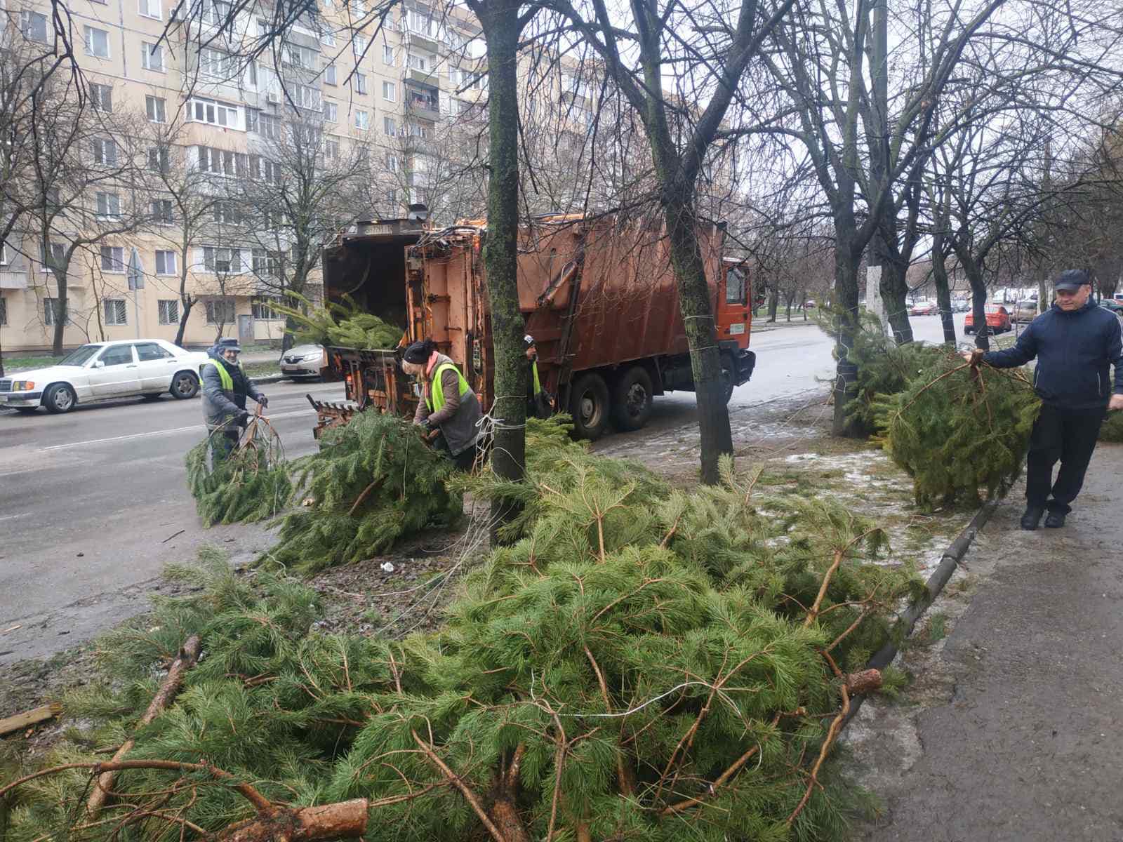 Продавцы ёлок в Одессе испортили непроданные деревья, чтобы они никому не достались (фото) - 3 - изображение