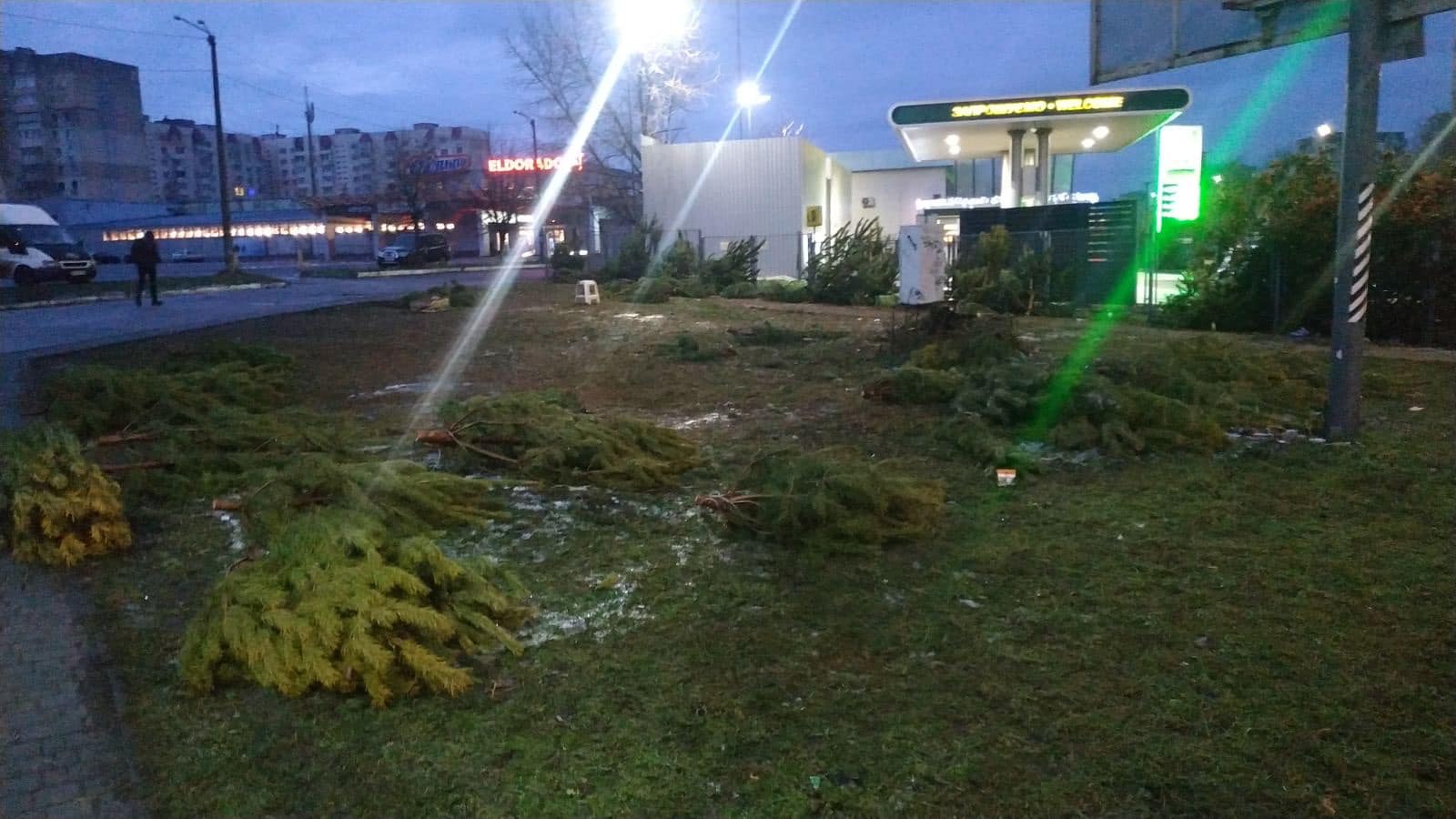 Продавцы ёлок в Одессе испортили непроданные деревья, чтобы они никому не достались (фото) - 4 - изображение