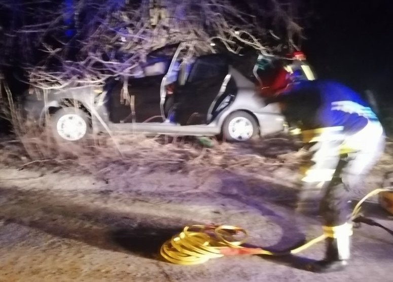 Смертельное ДТП в Черкасской области: авто влетело в дерево, четверо погибших (фото) - 2 - изображение