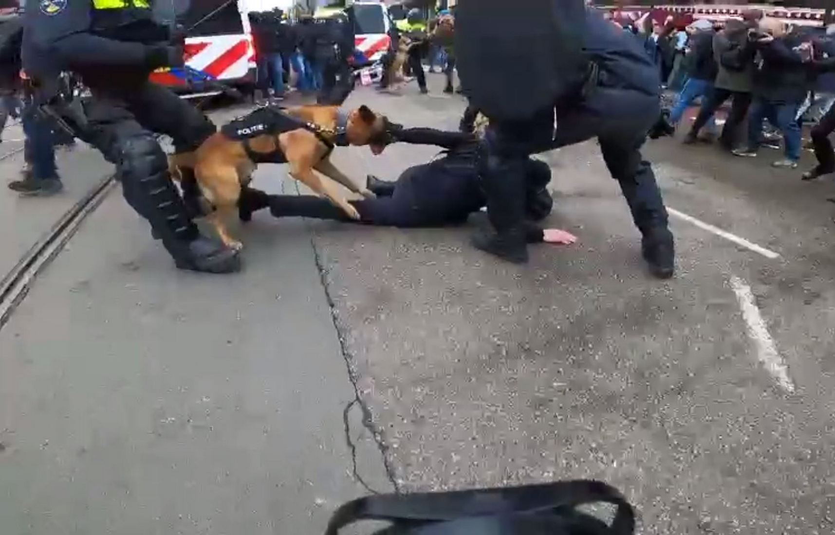 Собаки и дубинки: в Амстердаме полицейские разгоняют митинг протестующих  против карантина (видео 18+)