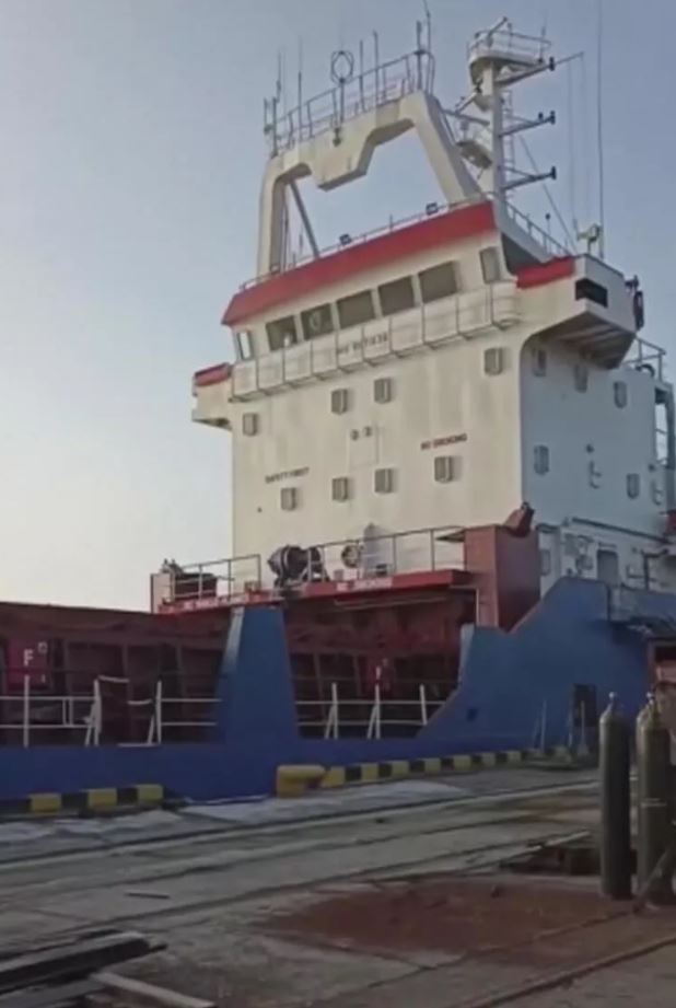 Два турецких судна пострадали от взрывов в порту Херсона — СМИ - 1 - изображение