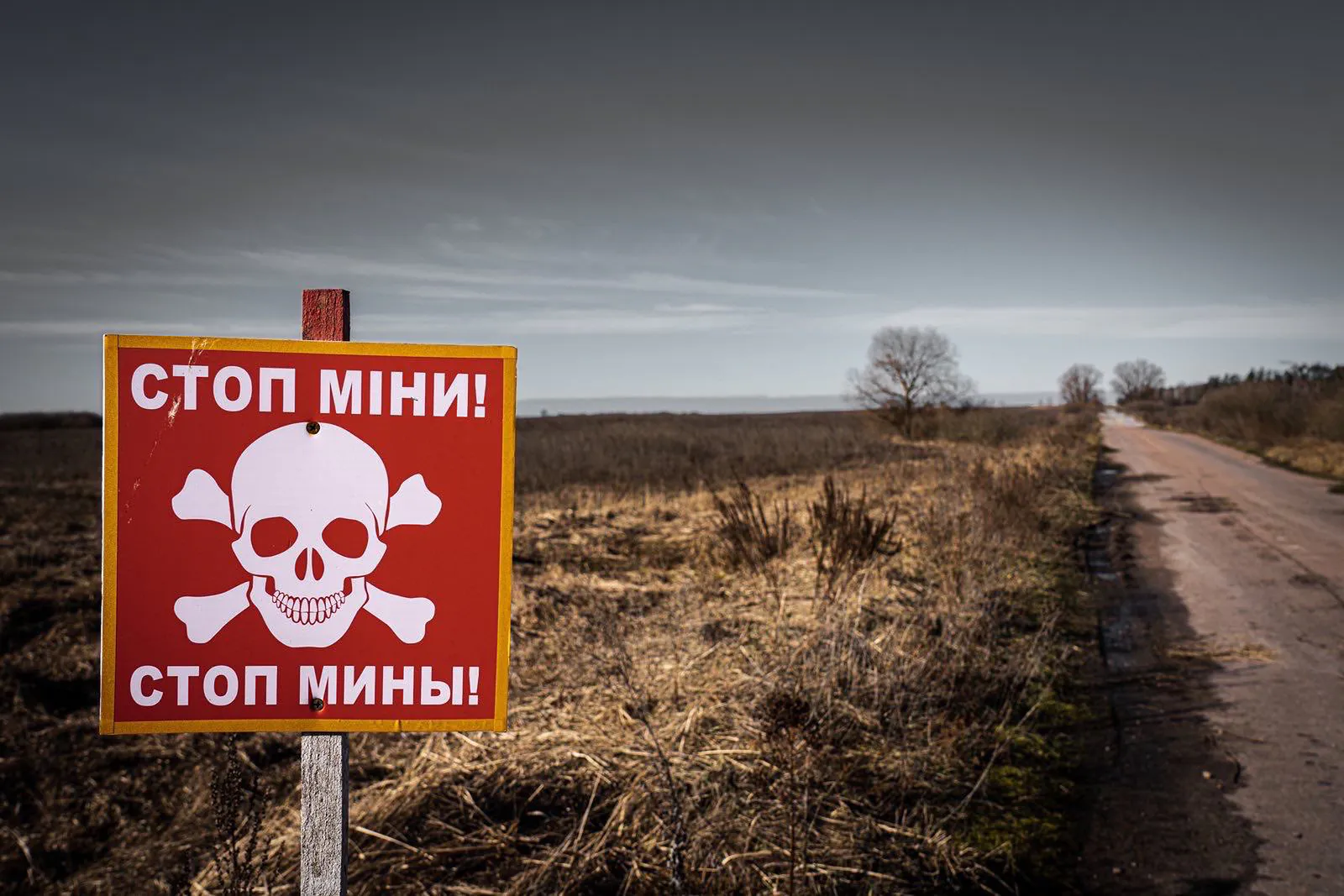 Польские полицейские почти полгода тайно разминировали территорию Киевской области (фото) - 3 - изображение